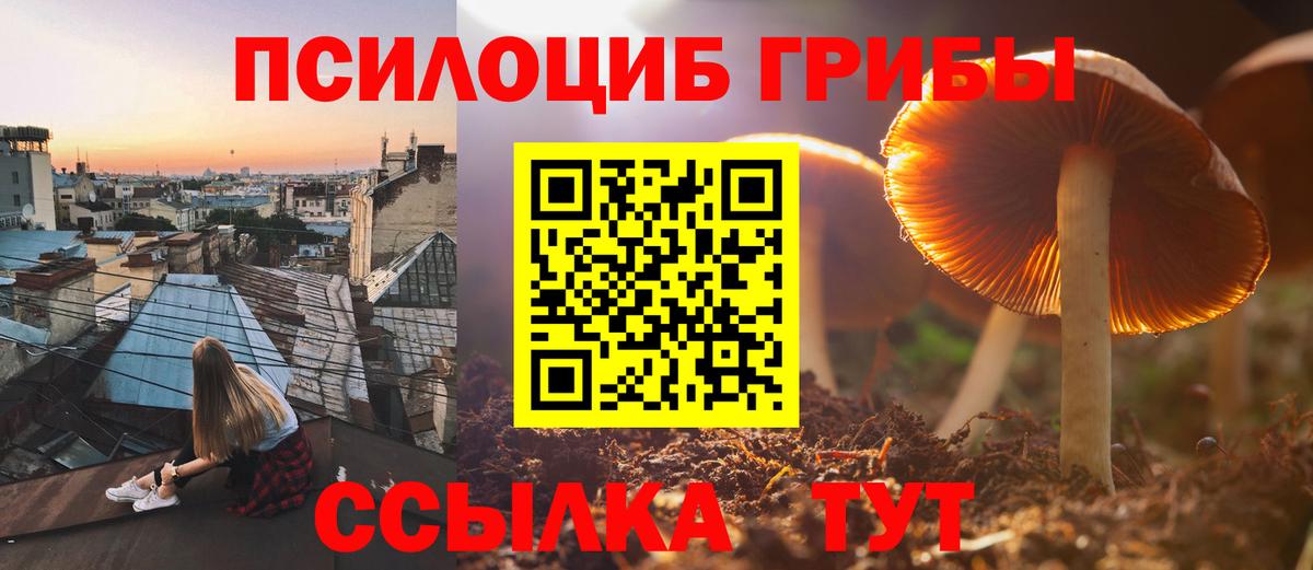 Галлюциногенные грибы Magic Shrooms  Галлюциногенные грибы MAGIC MUSHROOMS  Кстово  Вход с VPN 